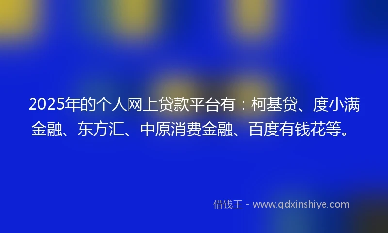 2025年的个人网上贷款平台有：柯基贷、度小满金融、东方汇、中原消费金融、百度有钱花等。