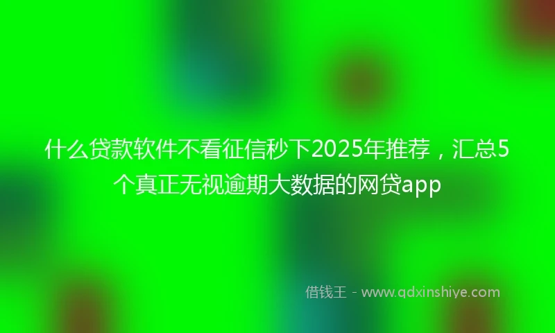 什么贷款软件不看征信秒下2025年推荐，汇总5个真正无视逾期大数据的网贷app