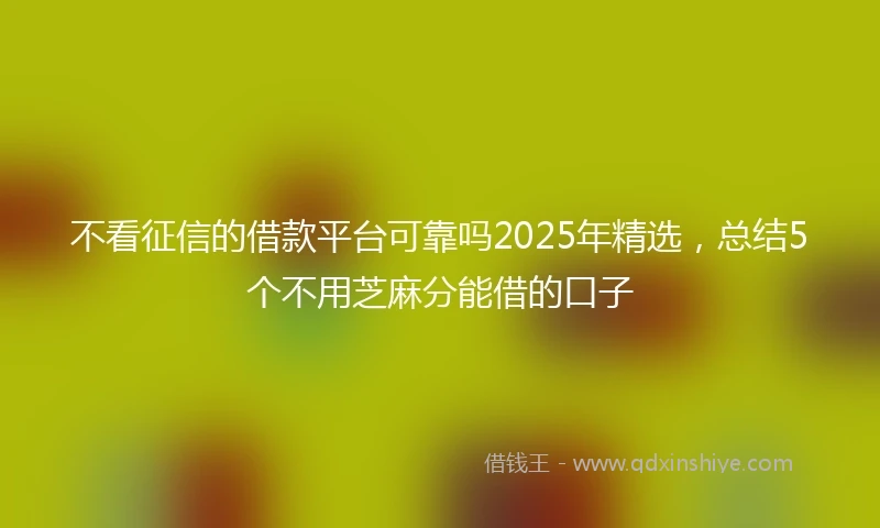 不看征信的借款平台可靠吗2025年精选，总结5个不用芝麻分能借的口子