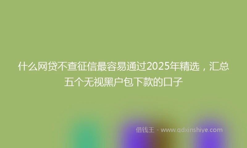 什么网贷不查征信最容易通过2025年精选，汇总五个无视黑户包下款的口子