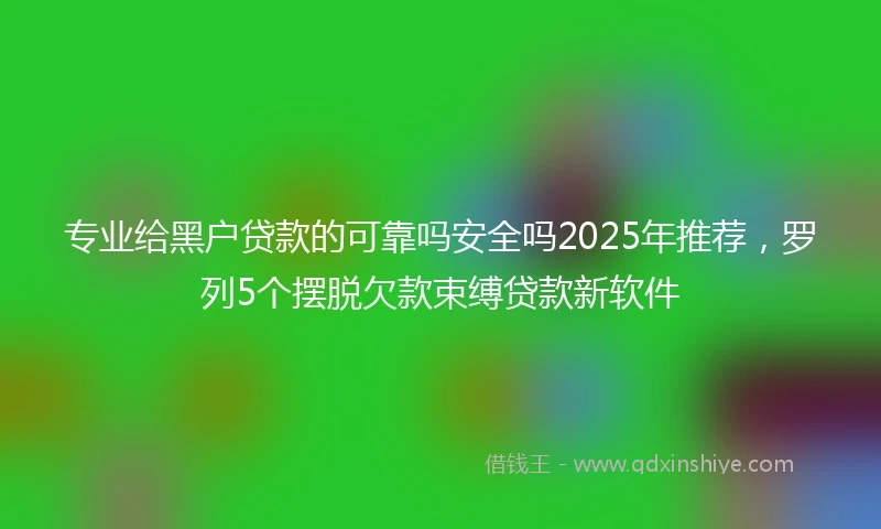 专业给黑户贷款的可靠吗安全吗2025年推荐，罗列5个摆脱欠款束缚贷款新软件