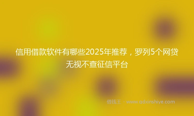 信用借款软件有哪些2025年推荐，罗列5个网贷无视不查征信平台