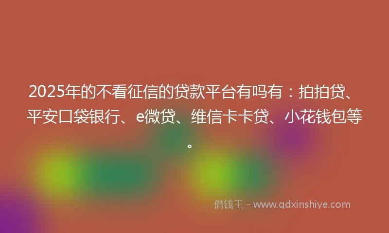 2025年的不看征信的贷款平台有吗有：拍拍贷、平安口袋银行、e微贷、维信卡卡贷、小花钱包等。