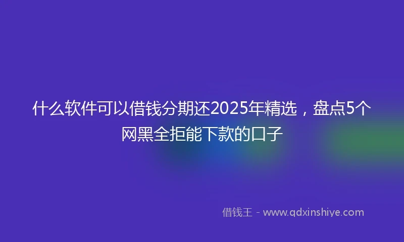 什么软件可以借钱分期还2025年精选，盘点5个网黑全拒能下款的口子