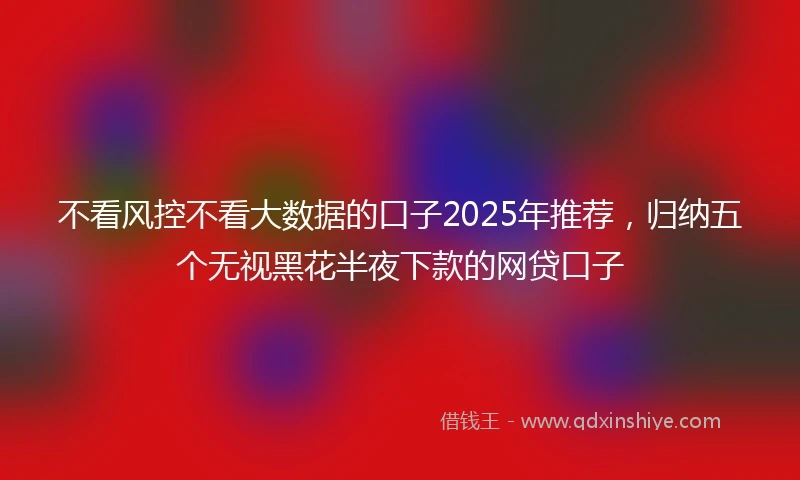不看风控不看大数据的口子2025年推荐，归纳五个无视黑花半夜下款的网贷口子