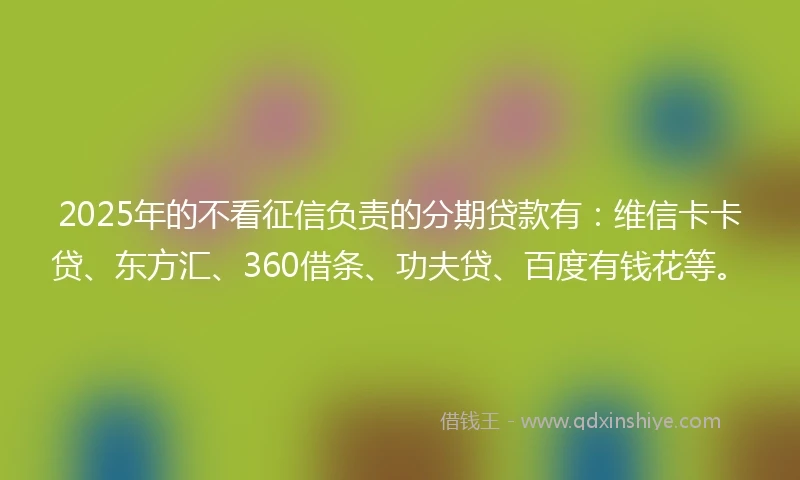 2025年的不看征信负责的分期贷款有：维信卡卡贷、东方汇、360借条、功夫贷、百度有钱花等。