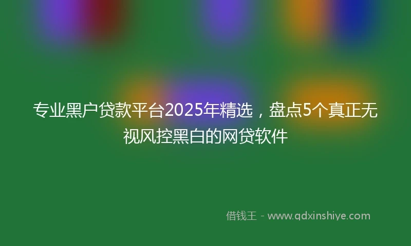专业黑户贷款平台2025年精选，盘点5个真正无视风控黑白的网贷软件