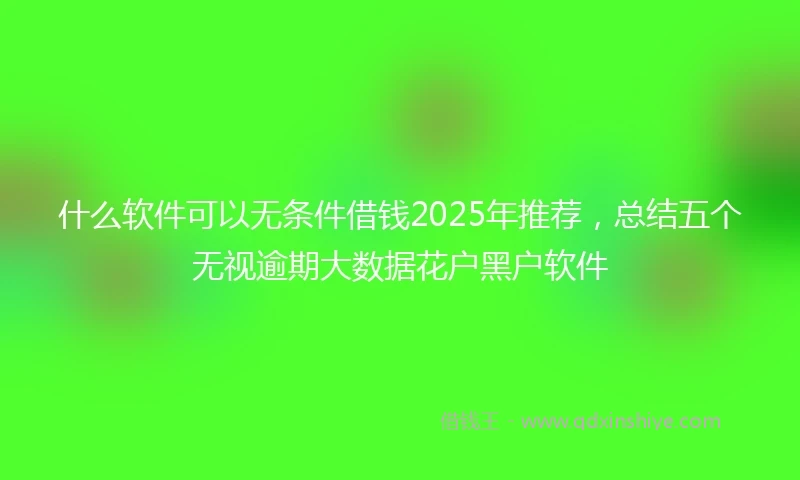 什么软件可以无条件借钱2025年推荐，总结五个无视逾期大数据花户黑户软件