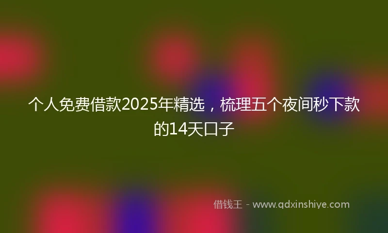 个人免费借款2025年精选，梳理五个夜间秒下款的14天口子