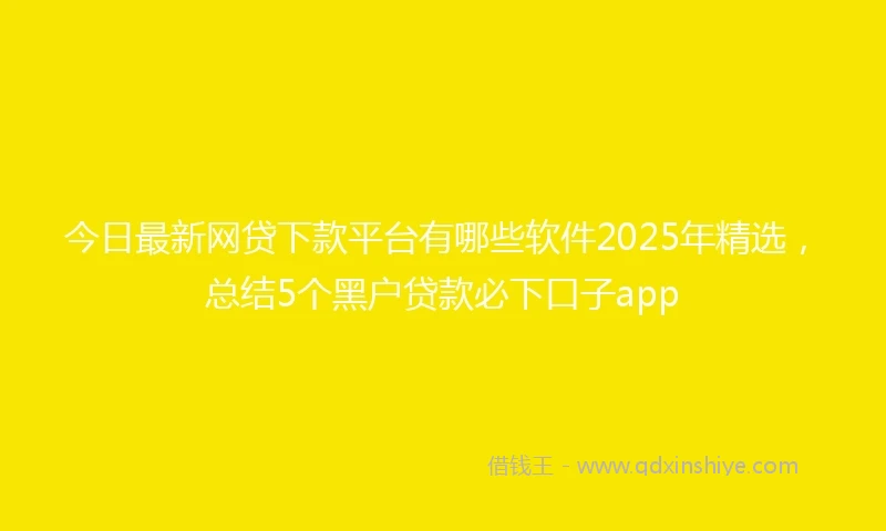 今日最新网贷下款平台有哪些软件2025年精选，总结5个黑户贷款必下口子app