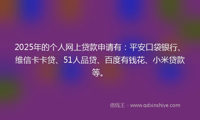 2025年的个人网上贷款申请有：平安口袋银行、维信卡卡贷、51人品贷、百度有钱花、小米贷款等。