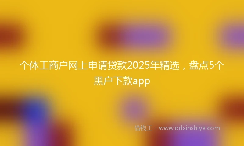 个体工商户网上申请贷款2025年精选，盘点5个黑户下款app