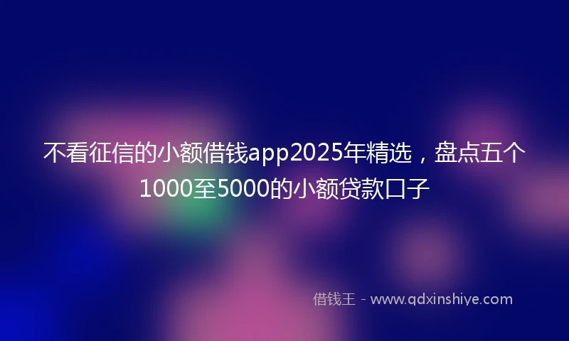 不看征信的小额借钱app2025年精选，盘点五个1000至5000的小额贷款口子