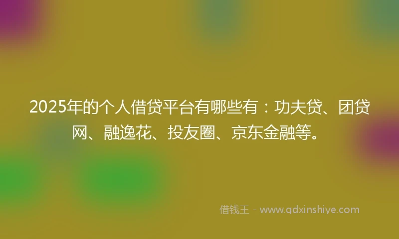 2025年的个人借贷平台有哪些有：功夫贷、团贷网、融逸花、投友圈、京东金融等。