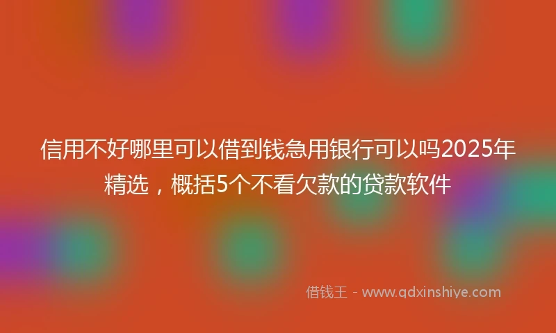 信用不好哪里可以借到钱急用银行可以吗2025年精选，概括5个不看欠款的贷款软件