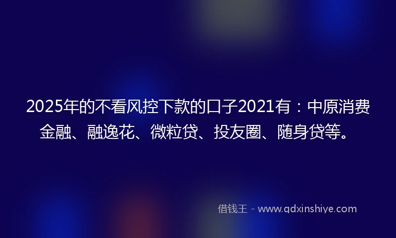 2025年的不看风控下款的口子2021有：中原消费金融、融逸花、微粒贷、投友圈、随身贷等。