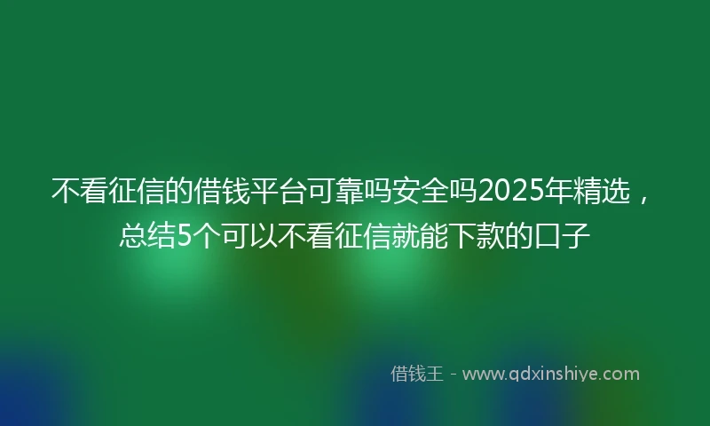 不看征信的借钱平台可靠吗安全吗2025年精选，总结5个可以不看征信就能下款的口子