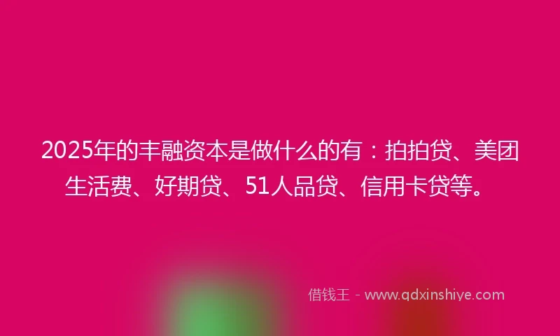 2025年的丰融资本是做什么的有：拍拍贷、美团生活费、好期贷、51人品贷、信用卡贷等。