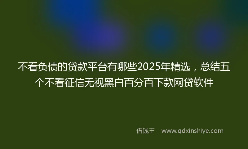 不看负债的贷款平台有哪些2025年精选，总结五个不看征信无视黑白百分百下款网贷软件