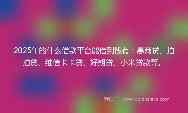2025年的什么借款平台能借到钱有：惠商贷、拍拍贷、维信卡卡贷、好期贷、小米贷款等。