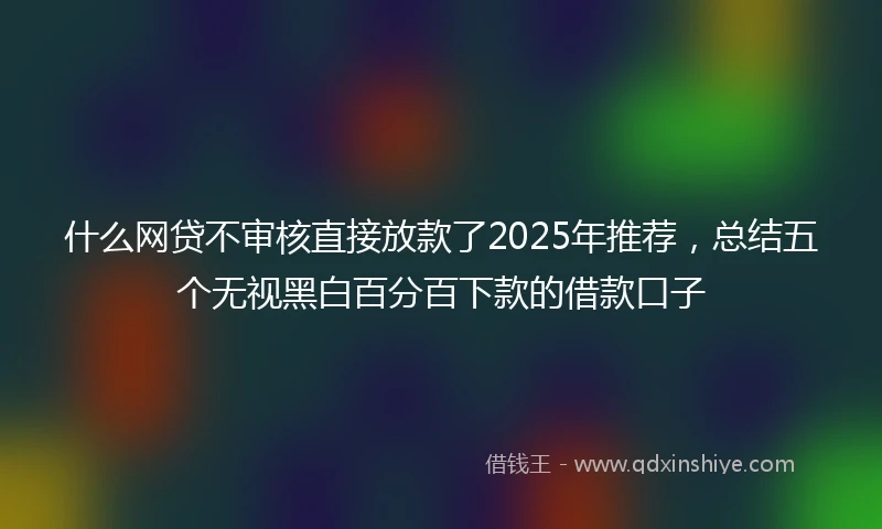 什么网贷不审核直接放款了2025年推荐，总结五个无视黑白百分百下款的借款口子