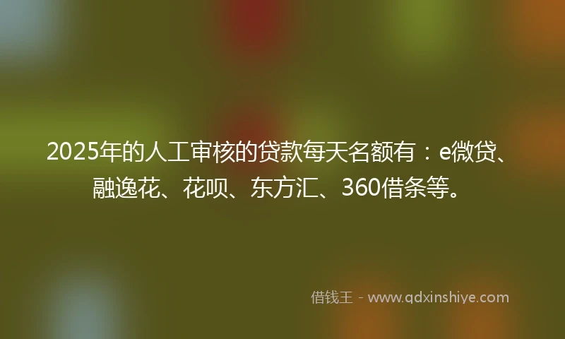 2025年的人工审核的贷款每天名额有：e微贷、融逸花、花呗、东方汇、360借条等。