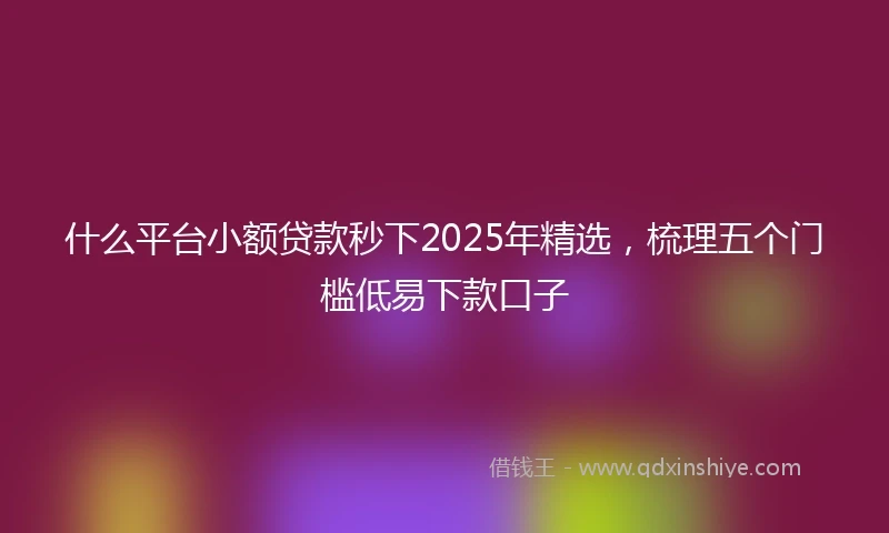 什么平台小额贷款秒下2025年精选，梳理五个门槛低易下款口子