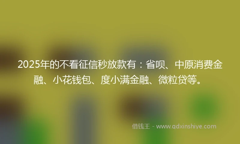 2025年的不看征信秒放款有：省呗、中原消费金融、小花钱包、度小满金融、微粒贷等。