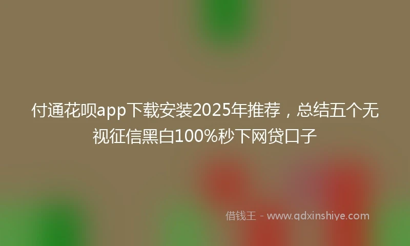 付通花呗app下载安装2025年推荐，总结五个无视征信黑白100%秒下网贷口子