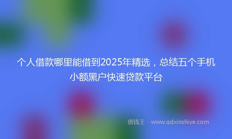个人借款哪里能借到2025年精选，总结五个手机小额黑户快速贷款平台