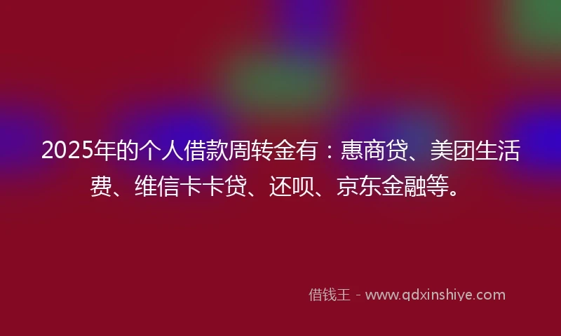 2025年的个人借款周转金有：惠商贷、美团生活费、维信卡卡贷、还呗、京东金融等。