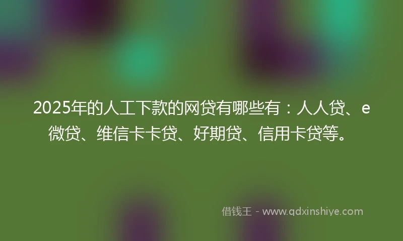 2025年的人工下款的网贷有哪些有：人人贷、e微贷、维信卡卡贷、好期贷、信用卡贷等。