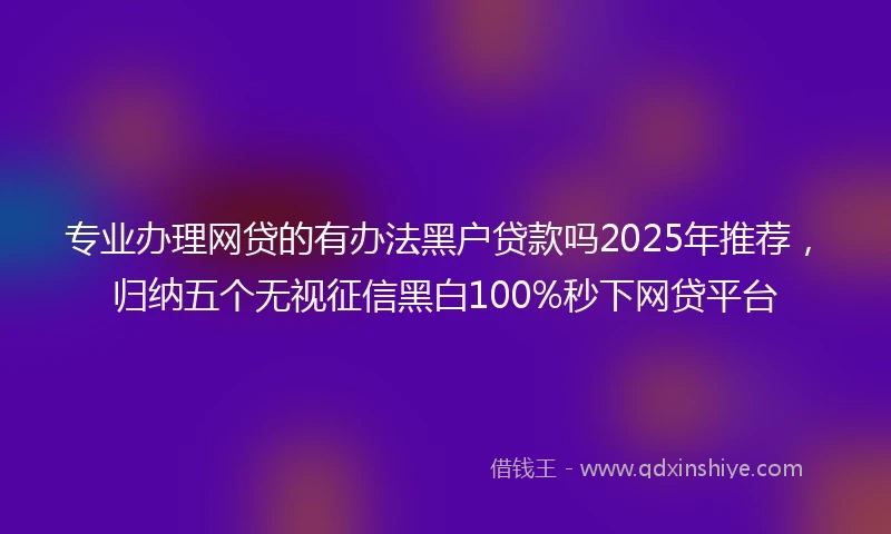 专业办理网贷的有办法黑户贷款吗2025年推荐，归纳五个无视征信黑白100%秒下网贷平台