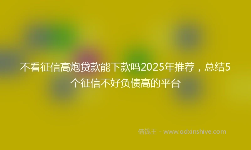 不看征信高炮贷款能下款吗2025年推荐，总结5个征信不好负债高的平台