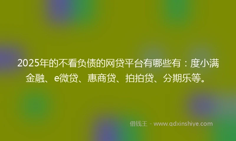 2025年的不看负债的网贷平台有哪些有：度小满金融、e微贷、惠商贷、拍拍贷、分期乐等。