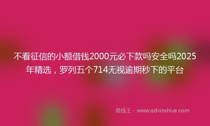 不看征信的小额借钱2000元必下款吗安全吗2025年精选，罗列五个714无视逾期秒下的平台