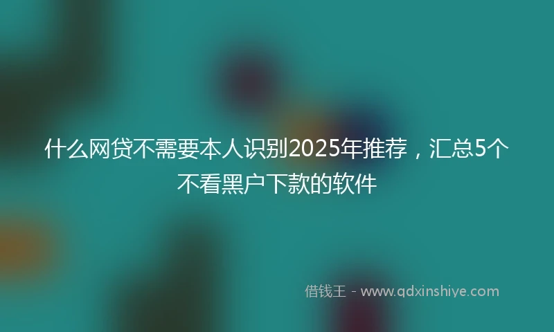 什么网贷不需要本人识别2025年推荐，汇总5个不看黑户下款的软件