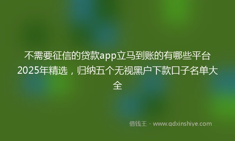 不需要征信的贷款app立马到账的有哪些平台2025年精选，归纳五个无视黑户下款口子名单大全