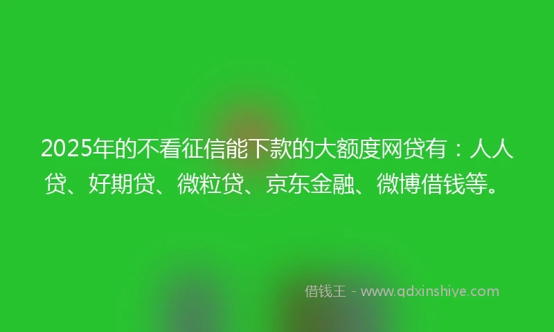 2025年的不看征信能下款的大额度网贷有：人人贷、好期贷、微粒贷、京东金融、微博借钱等。