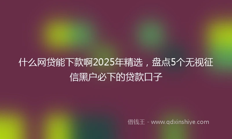什么网贷能下款啊2025年精选，盘点5个无视征信黑户必下的贷款口子