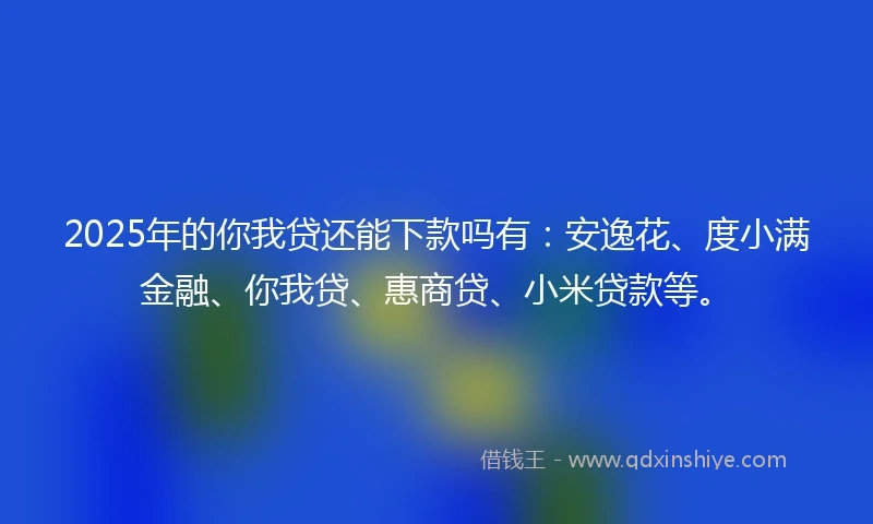 2025年的你我贷还能下款吗有：安逸花、度小满金融、你我贷、惠商贷、小米贷款等。