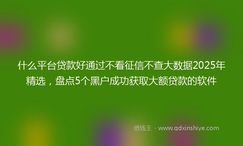 什么平台贷款好通过不看征信不查大数据2025年精选，盘点5个黑户成功获取大额贷款的软件