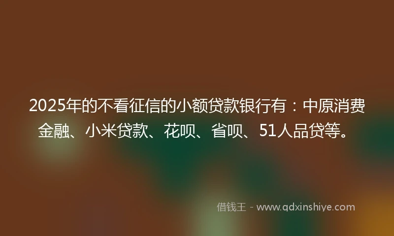 2025年的不看征信的小额贷款银行有：中原消费金融、小米贷款、花呗、省呗、51人品贷等。