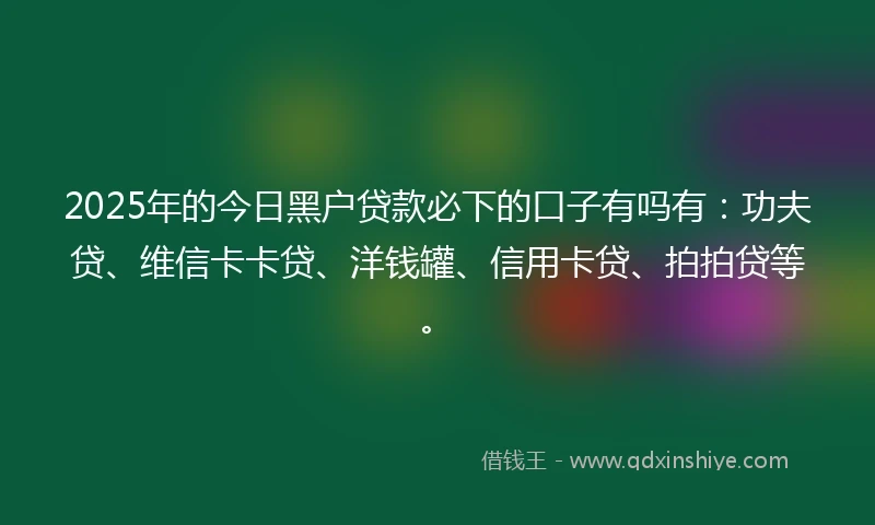 2025年的今日黑户贷款必下的口子有吗有：功夫贷、维信卡卡贷、洋钱罐、信用卡贷、拍拍贷等。