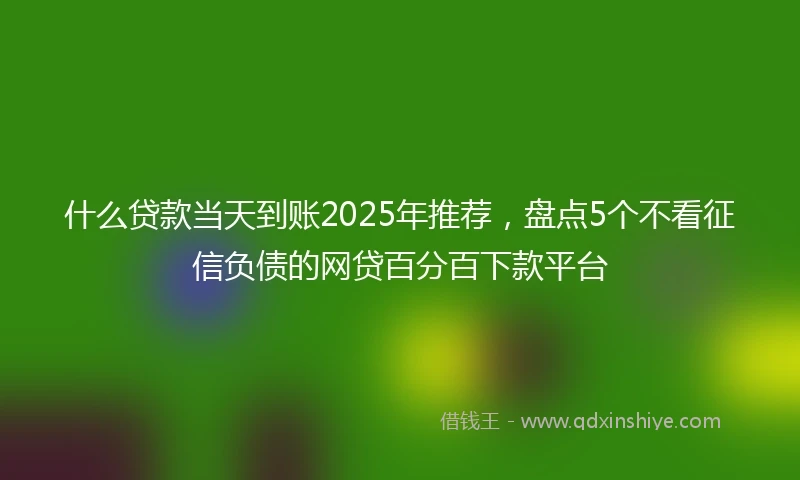 什么贷款当天到账2025年推荐，盘点5个不看征信负债的网贷百分百下款平台