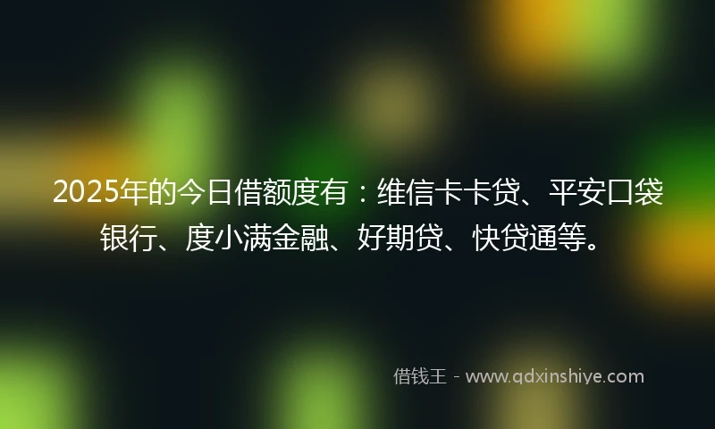 2025年的今日借额度有：维信卡卡贷、平安口袋银行、度小满金融、好期贷、快贷通等。