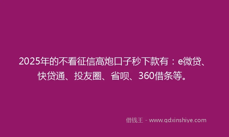 2025年的不看征信高炮口子秒下款有：e微贷、快贷通、投友圈、省呗、360借条等。