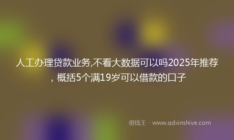 人工办理贷款业务,不看大数据可以吗2025年推荐，概括5个满19岁可以借款的口子