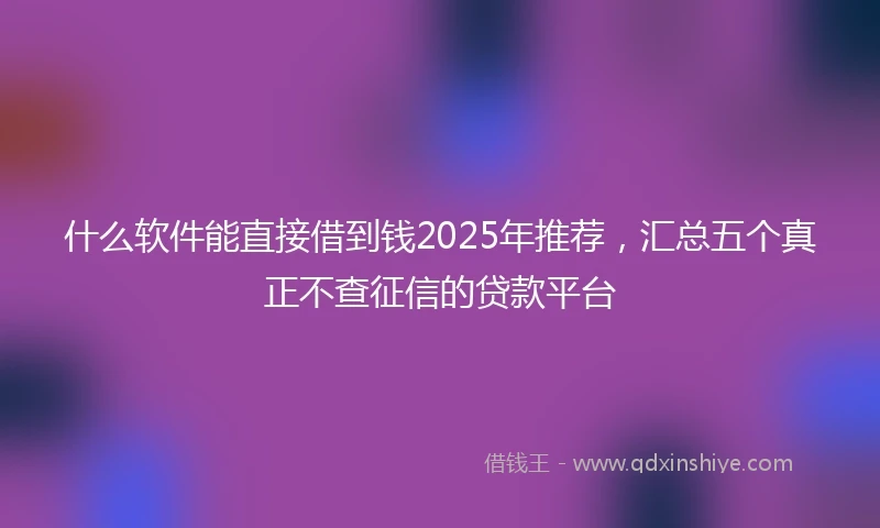 什么软件能直接借到钱2025年推荐，汇总五个真正不查征信的贷款平台