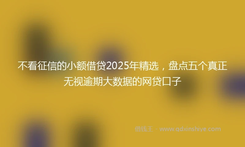 不看征信的小额借贷2025年精选，盘点五个真正无视逾期大数据的网贷口子